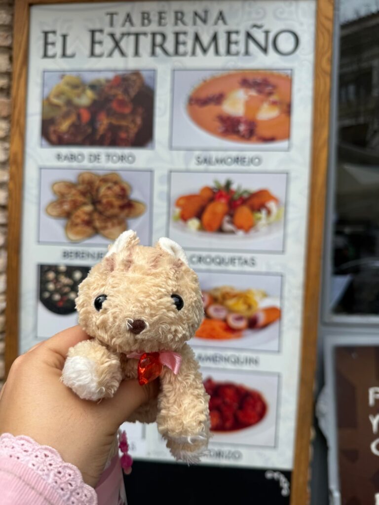 Lost Plushie (in Cordoba)