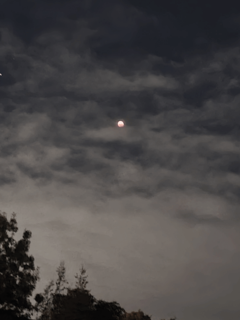 What did you think of the lunar eclipse