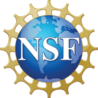 From Research to Practice: Building AI Systems that Transform STEM Learning and Workforce Development | NSF
