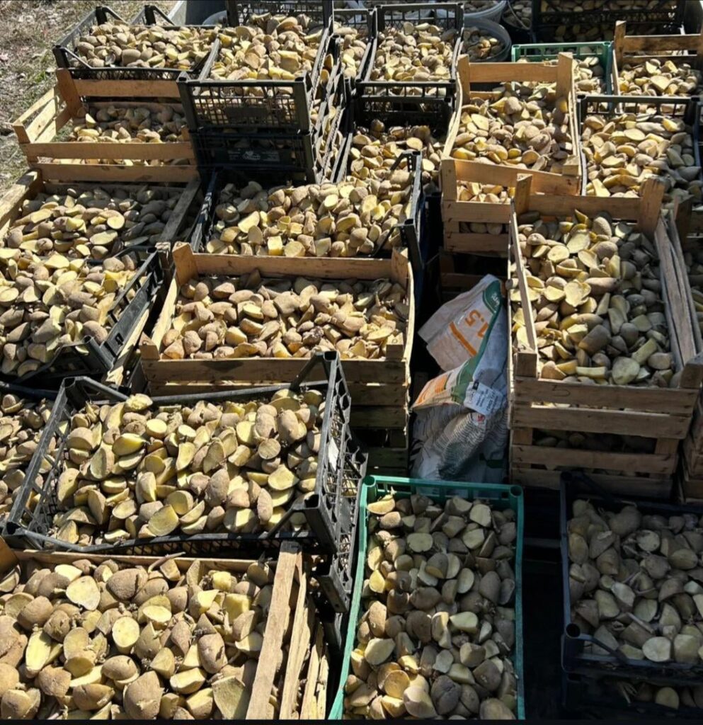 Nicer and warmer times have arrived