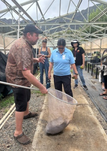 teachers participate in a demo