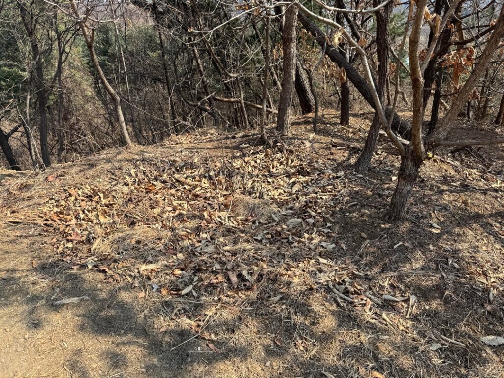 A bunch of pits in the ground near mountain burial sites…what are they?