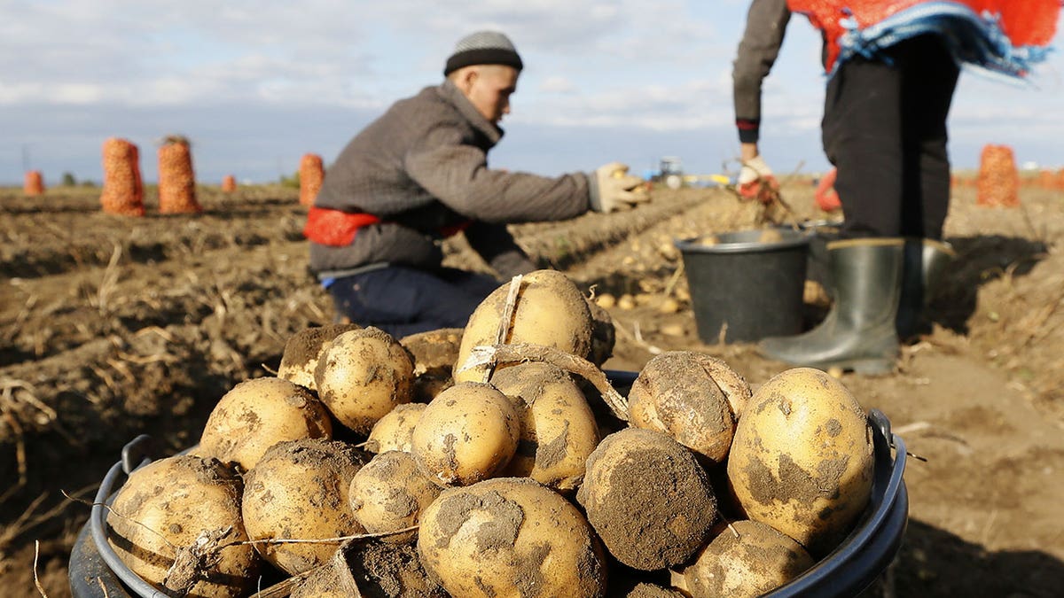 Migrant workers in Russia