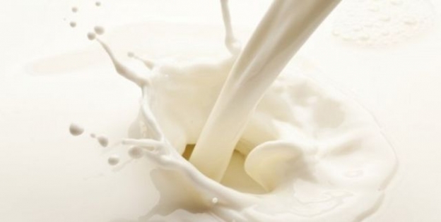 Stable Exports and a Decline in Imports of milk and Dairy Products in BiH