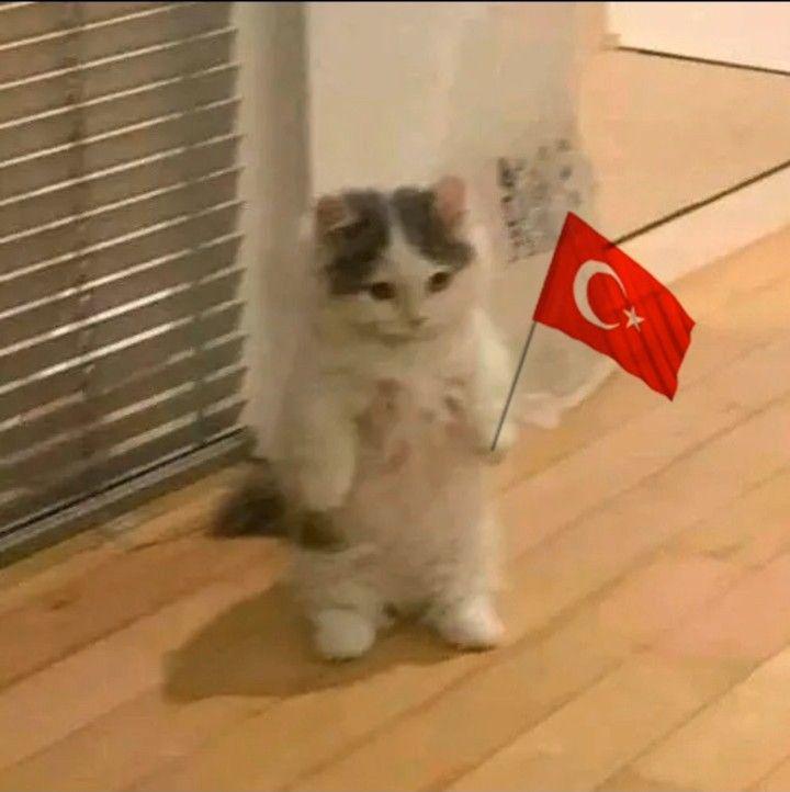Thanks for saving our asses! Free kebabs for all of you for life! Long live Spain long live Turkiye May our tables always be filled with kebabs and flan casero