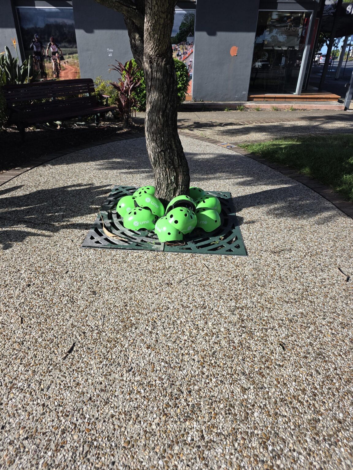 Spotted in Morningside