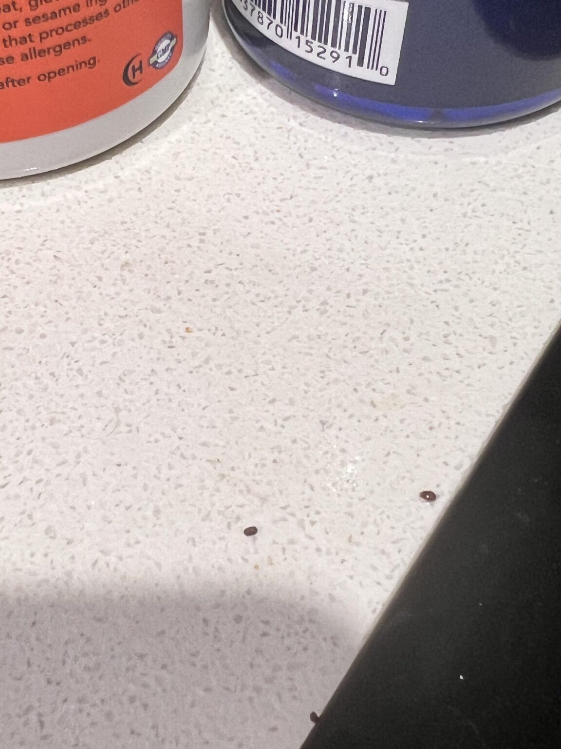 What are these tiny brown bugs all over my kitchen?