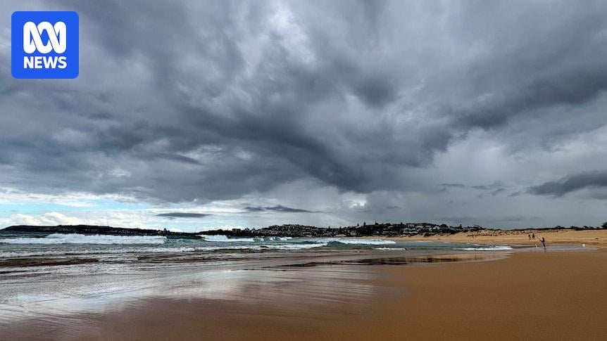 Sydney's abnormal heat, humidity levels due to warm Tasman Sea and northerly winds