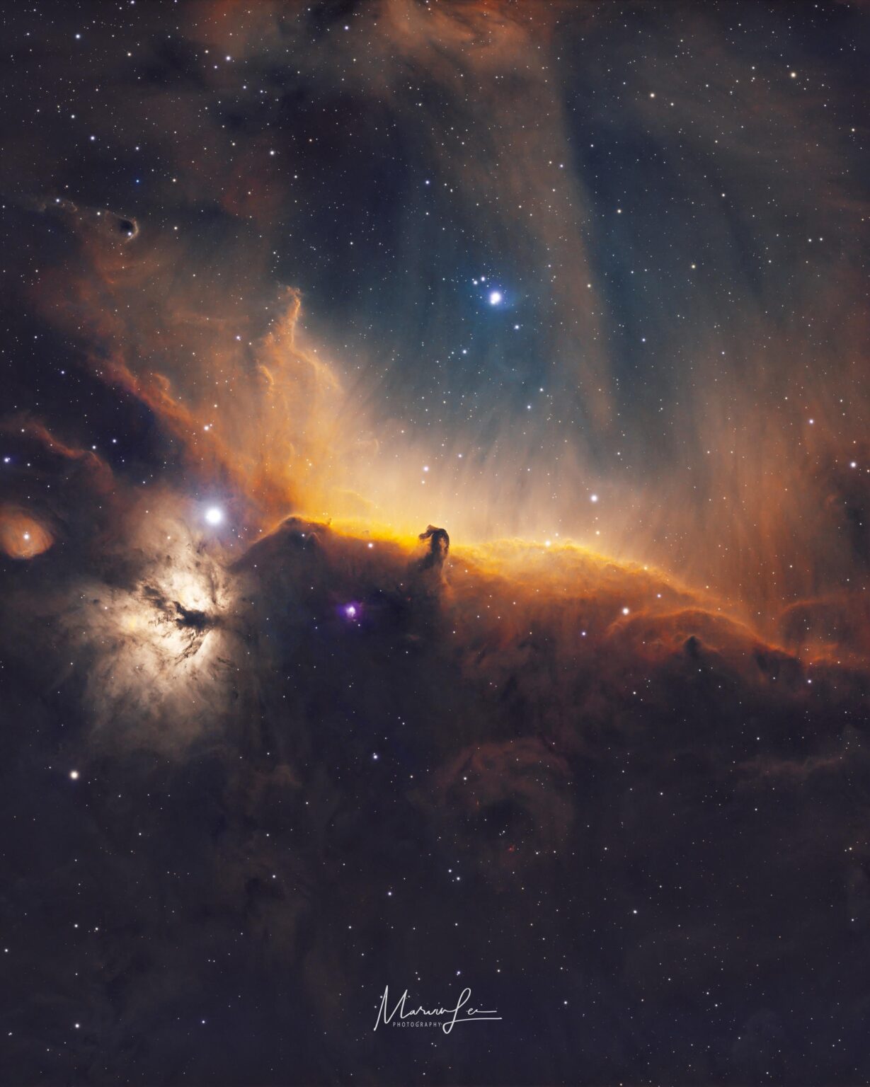 Narrowband Image of IC434