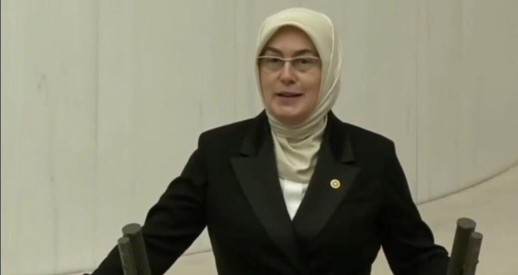 Prison sentence for those who criticized AKP MP's parking violation