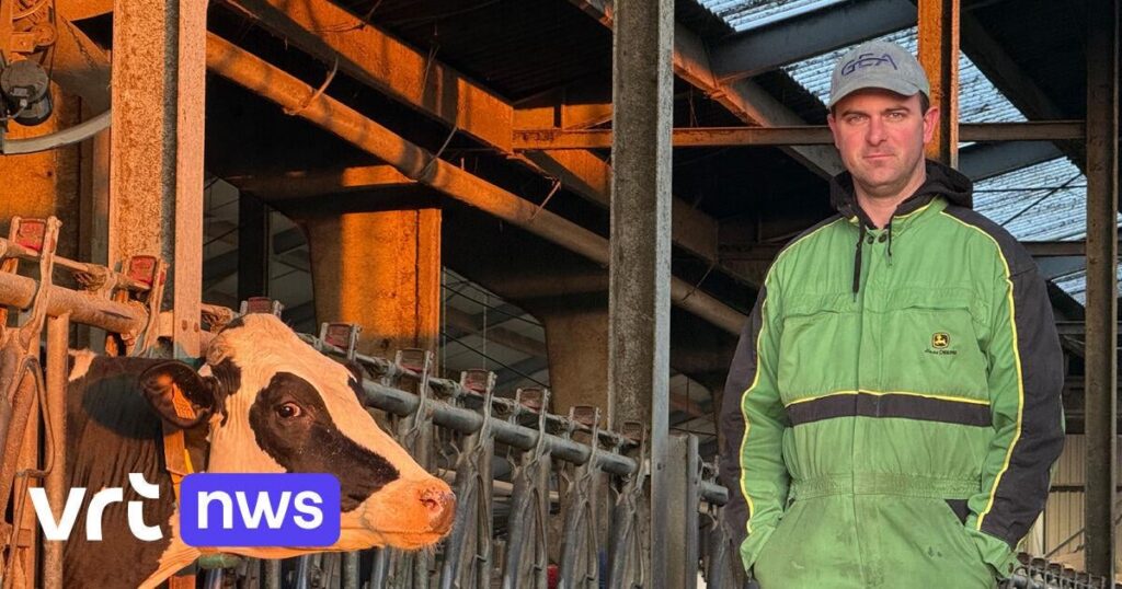44 dairy farmers from Westhoek are stuck in Dubai: "Don't panic"