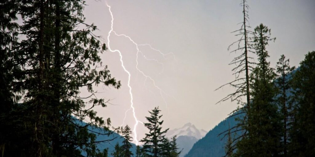 This startup claims it can stop lightning and prevent catastrophic wildfires