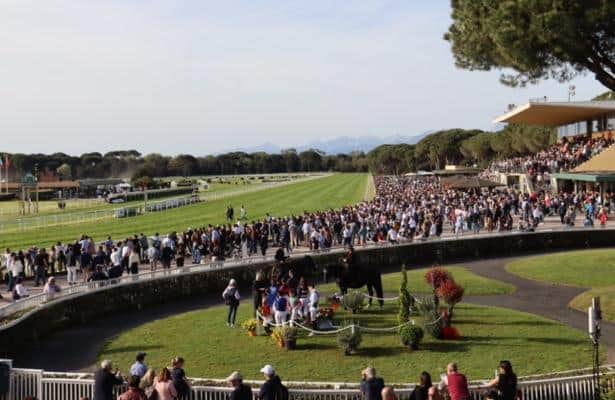 Analysis of 2 Sunday handicaps