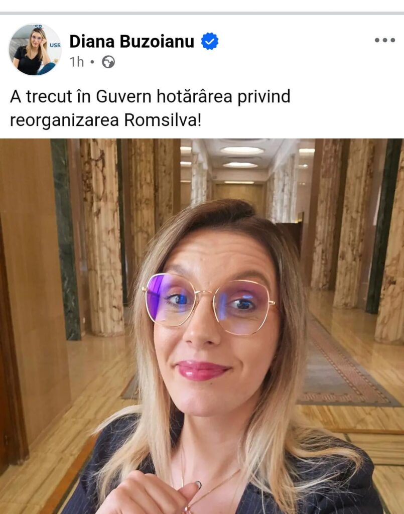 Diana Buzoianu, the most active minister. The reorganization of Romsilva passed to the government.