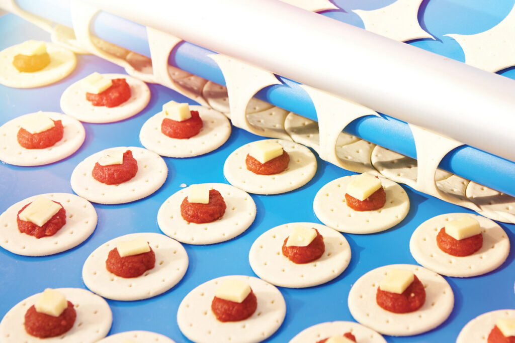 Formulating for New Product Scale-Up Baking with tomato and cheese.