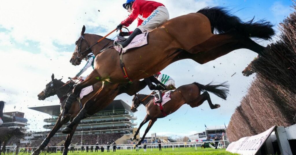 Jockey handed ban for 'despicable' treatment of exhausted horse during race