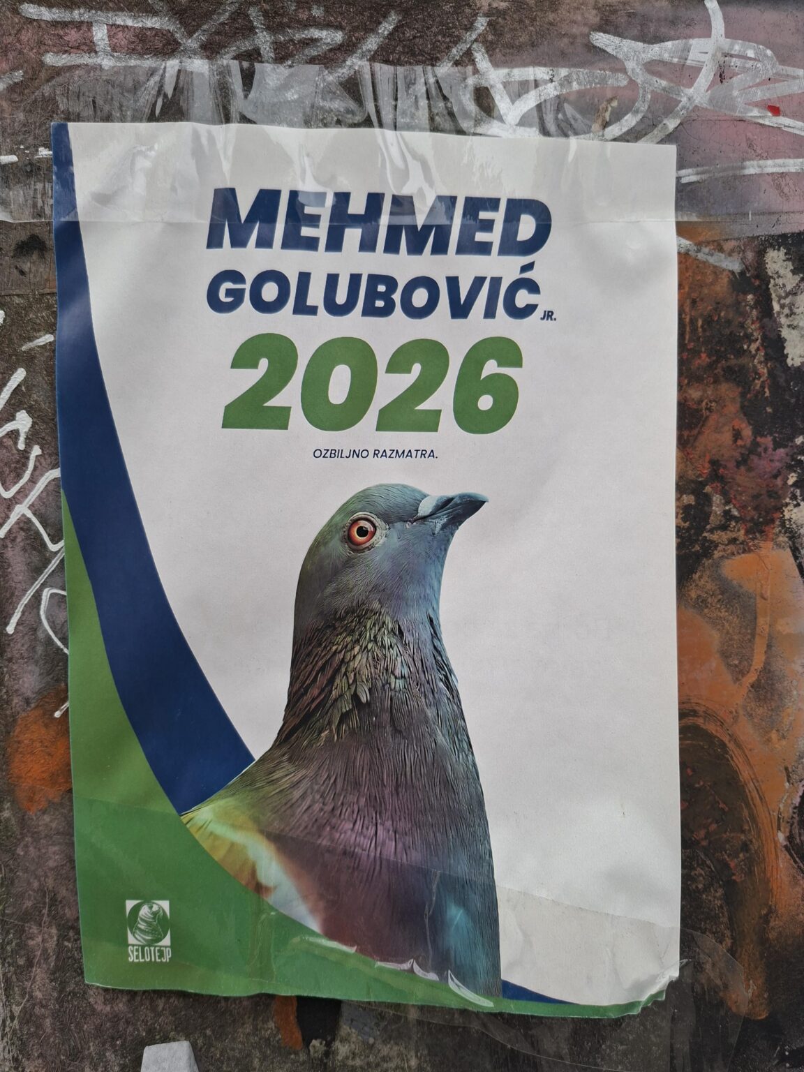 A dove flies for the elections (pictured in Šantićeva street in Mostar)