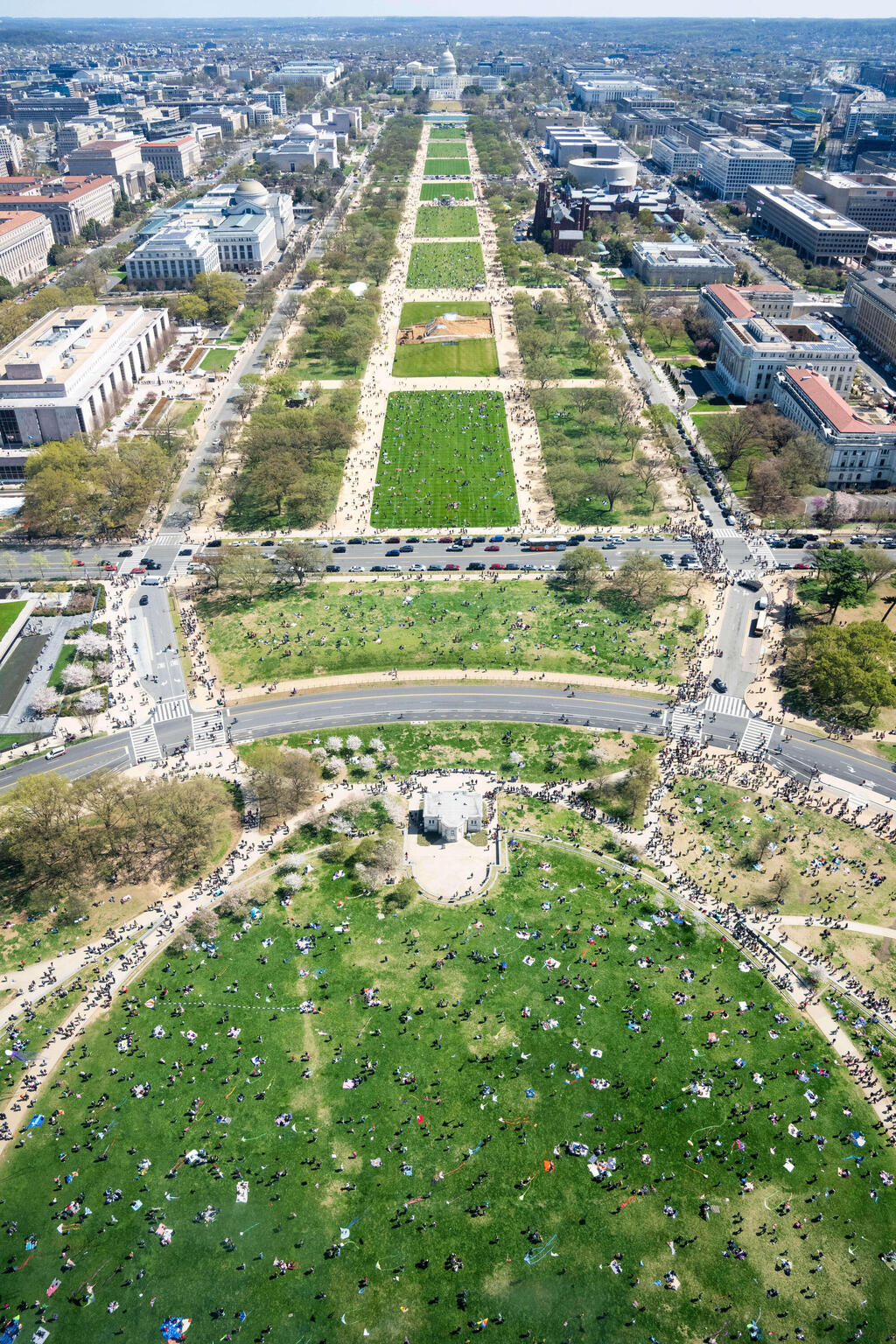 פסטיבל העפיפונים של פריחת הדובדבן במול הלאומי בוושינגטון