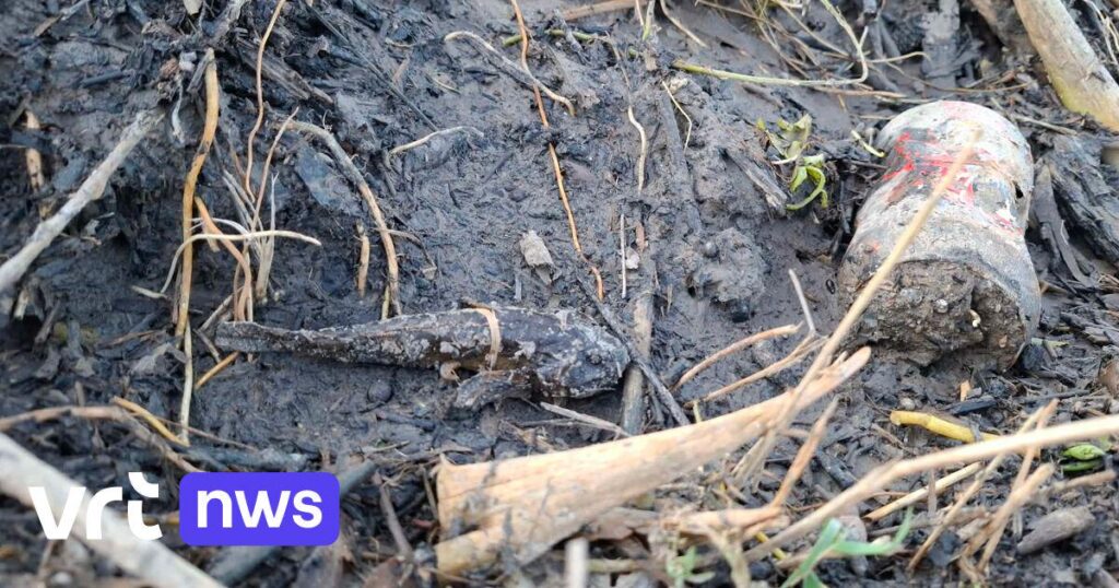 Hundreds of protected fish died after sludge was cleared from a stream in Landen without a permit