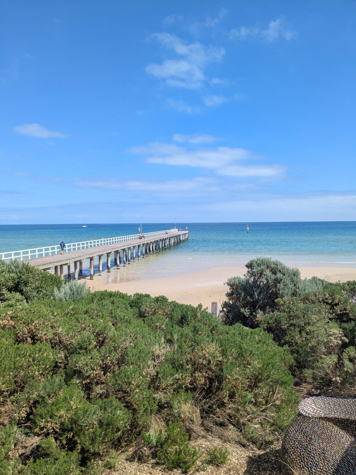 The "gross" Port Phillip Bay Beach I live near