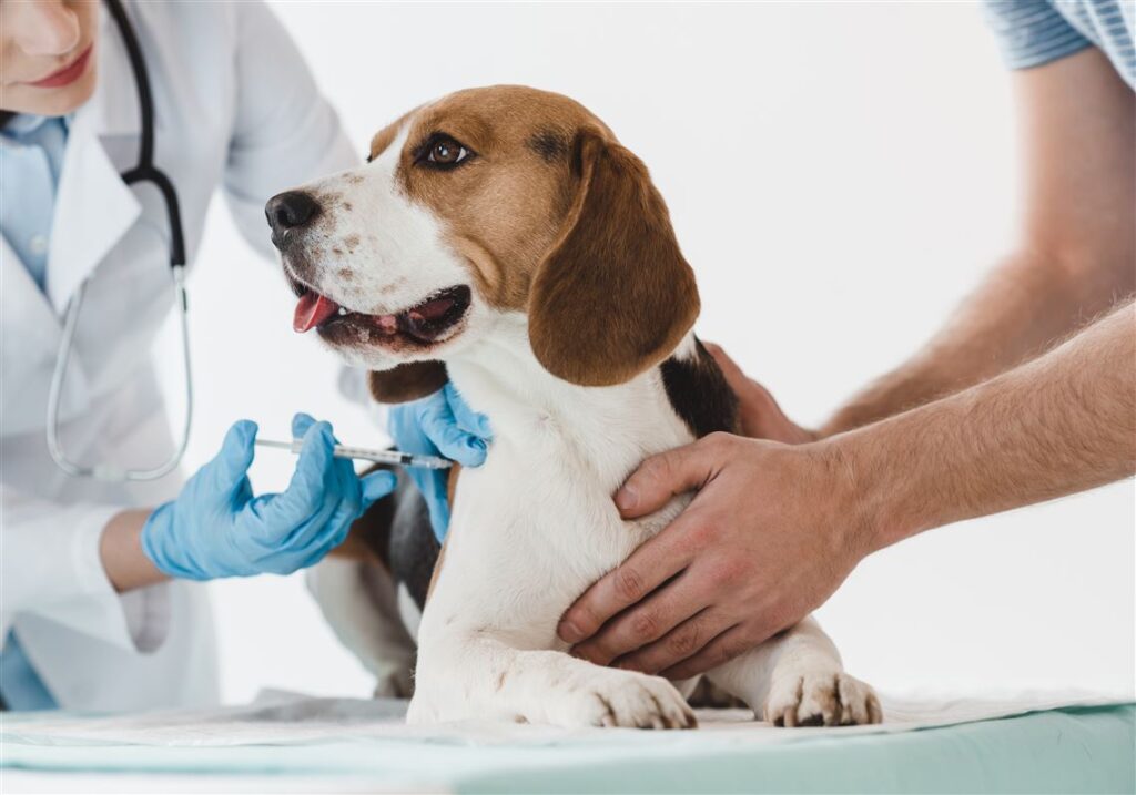 Does growing vaccine hesitancy include pet inoculations?