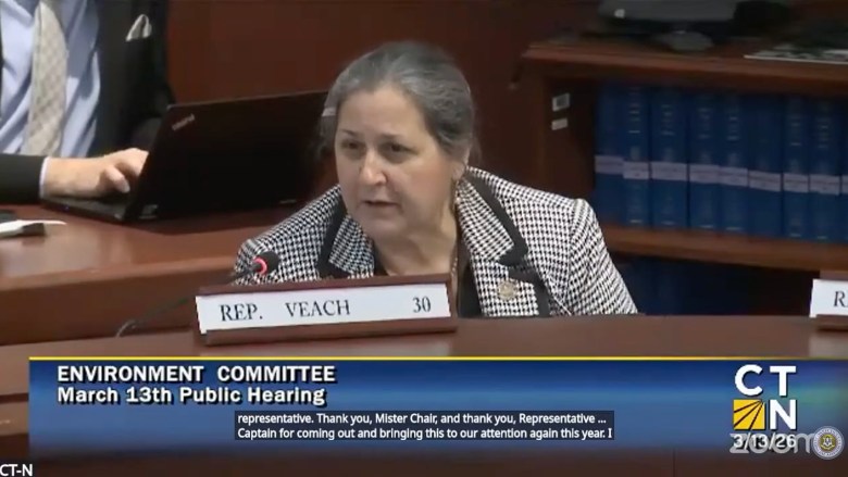 Woman speaks into microphone