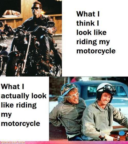 Come on, they're starting to come out of their holes again...