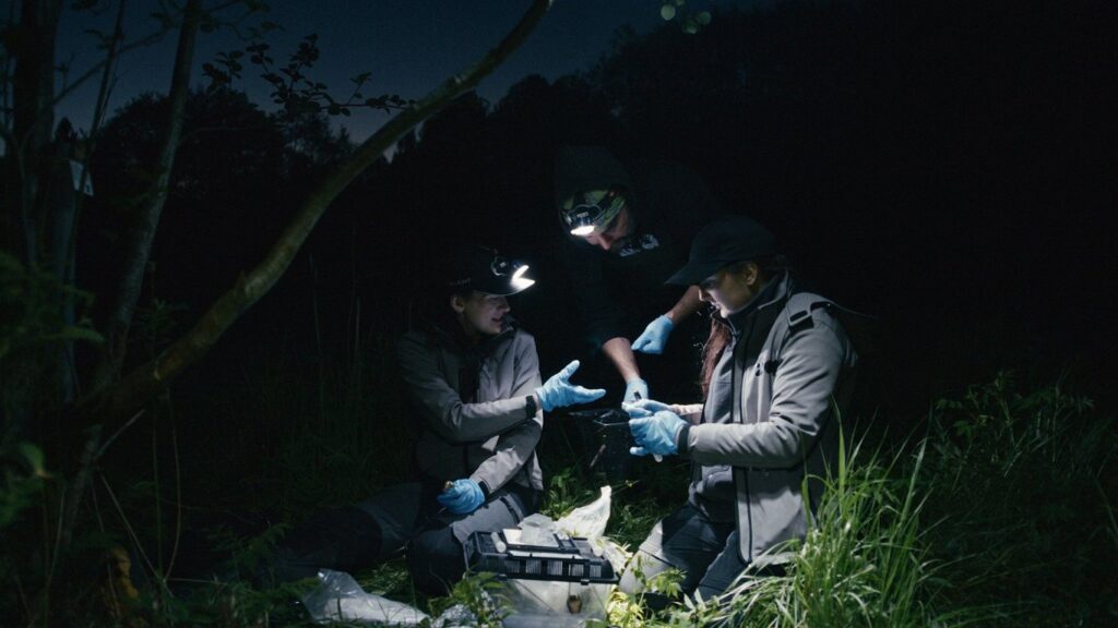 ‘Latvian Code’ documentary ‘Frog Safari’ / Article 'Latvian Code' documentary 'Frog Safari' / Article