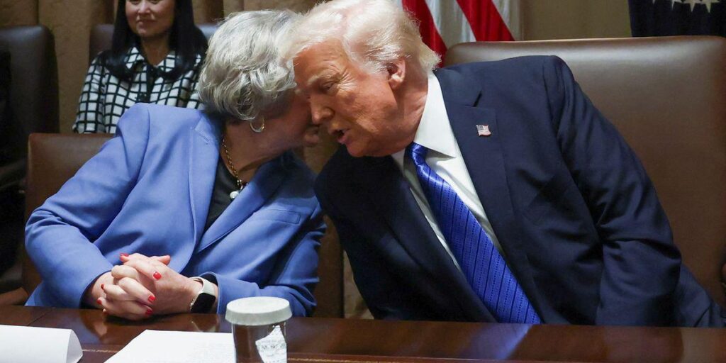 Trump appointees make bank while steering federal contracts to their own companies