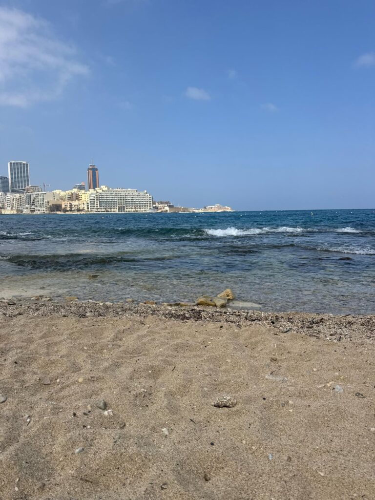 PICK YOUR DOG SHIT  DUMP IN THE BINS