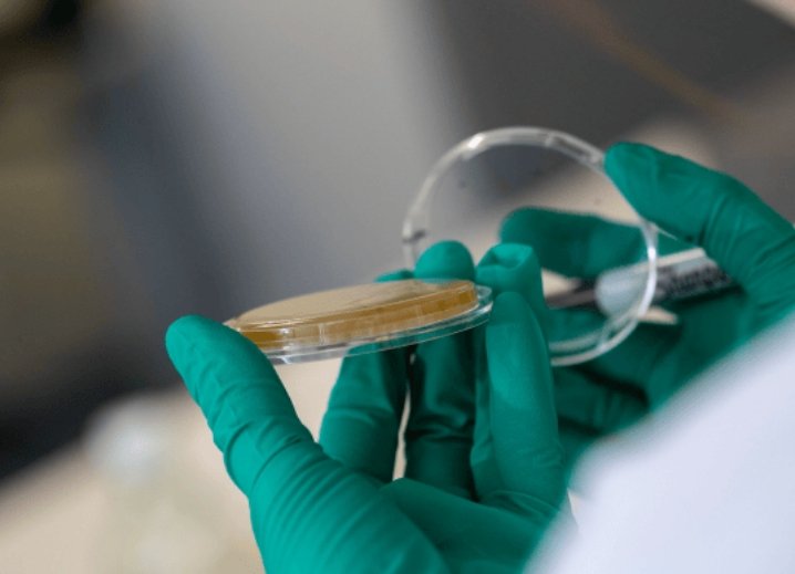 Australia's Viral Vector Manufacturing Facility enters into licensing agreement with OXB