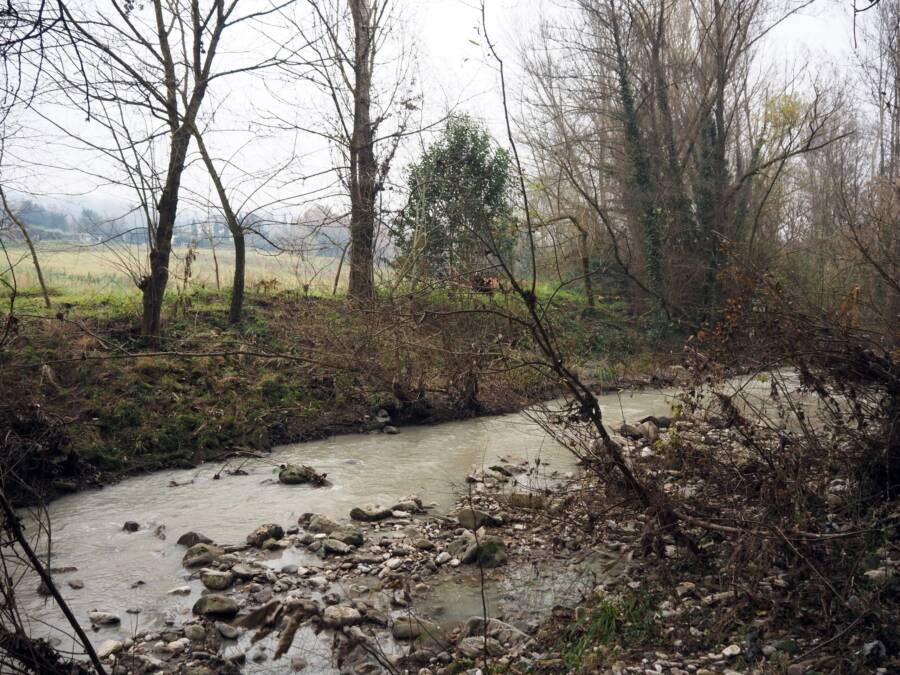 Serrentella Stream