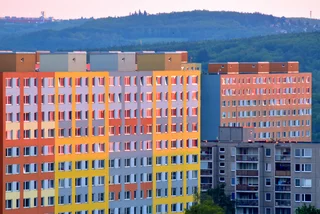 Shutterstock by Benislav