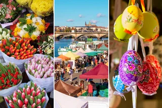 Shutterstock by New Africa, Madeleine Steinbach, Svetlana BeleacovCover_Markets.png