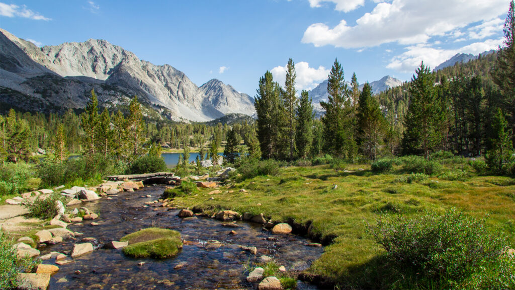 Where the wild things thrive: Finding and protecting nature’s climate change safe havens Where the wild things thrive: Finding and protecting nature’s climate change safe havens