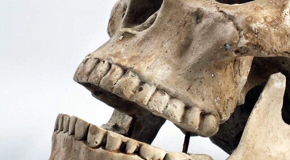 Mysterious ancient skeletons discovered sitting upright in France