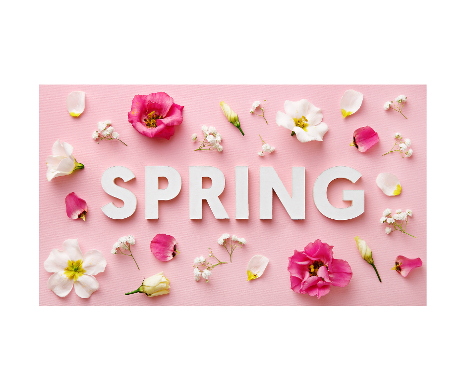 Spring 2026: Donate to a Top-Rated Environment & Climate Change Charity