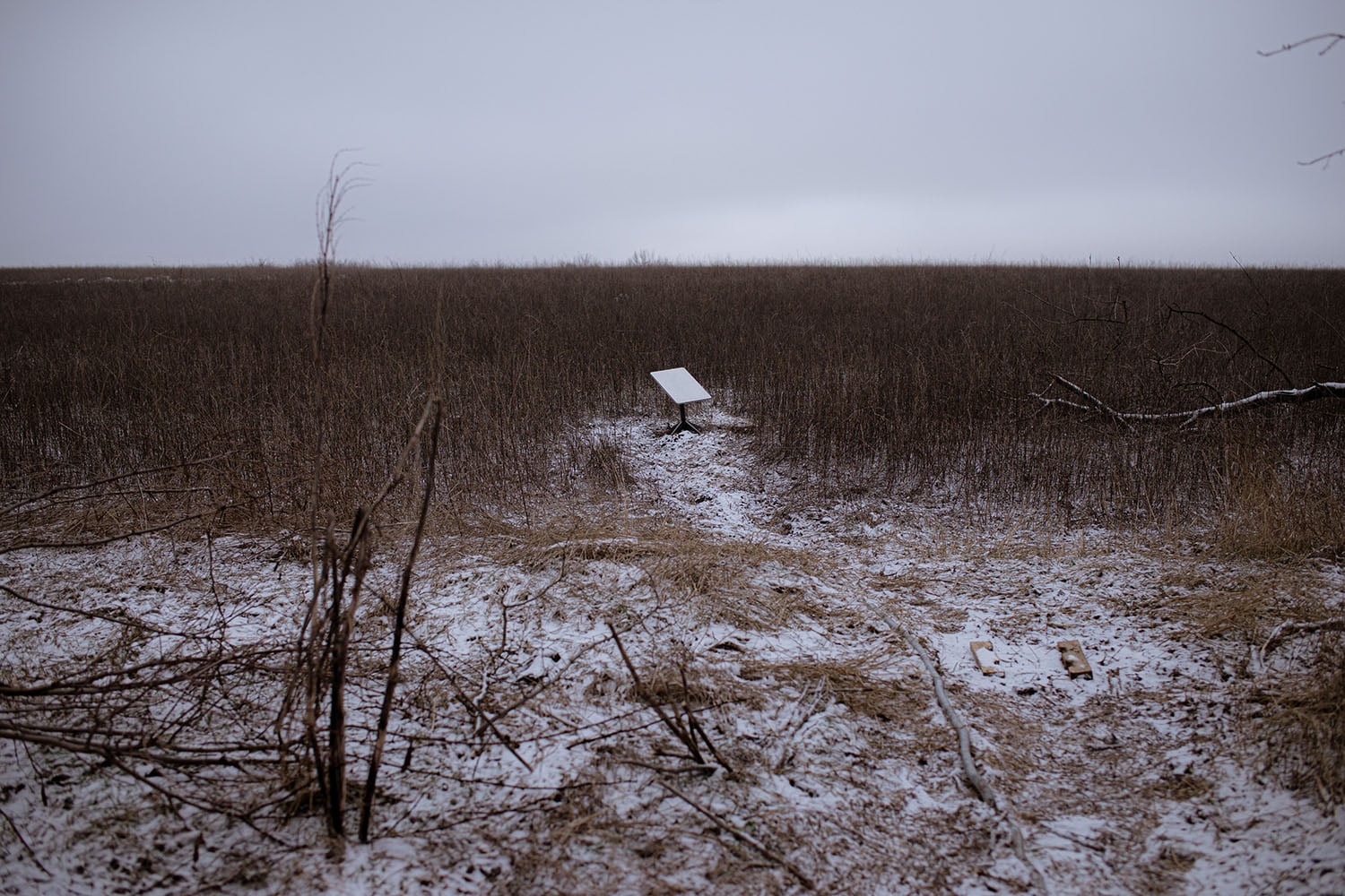 A white rectangular Starlink device sits in a snowy field, surrounded by low plants, dead or dormant for winter. The sky overhead is pale gray with complete cloud cover.