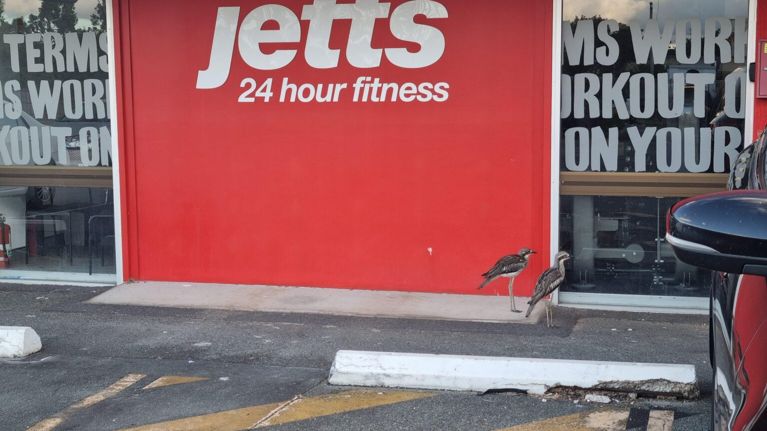 Leg day?