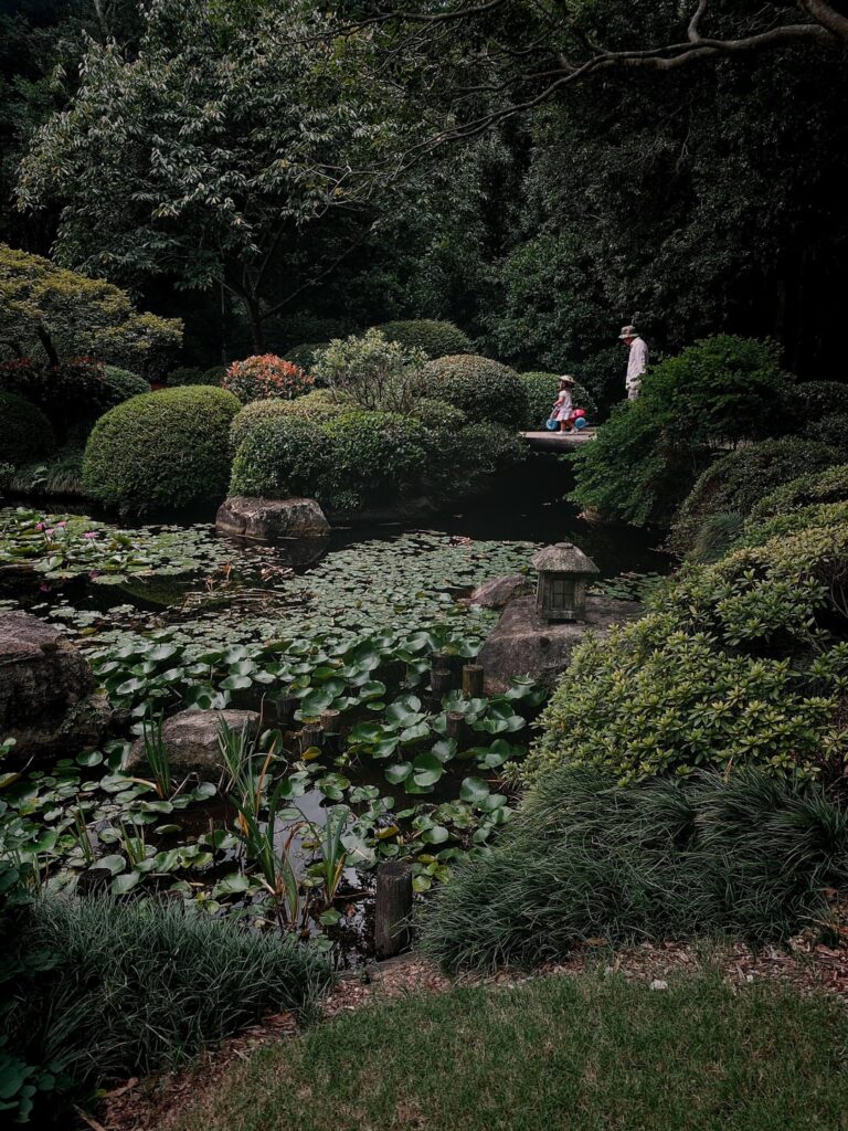 Brisbane Botanic Gardens