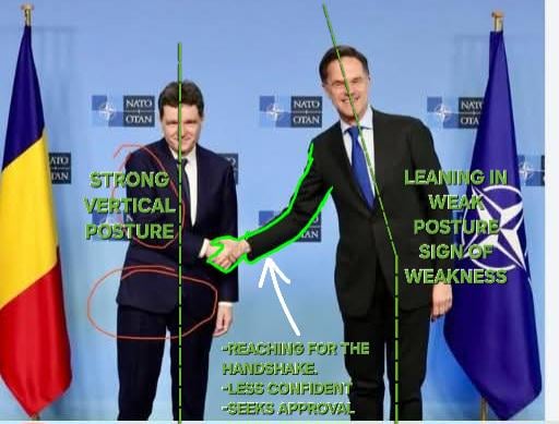 Nicusor Dan stocks ↗️↗️↗️