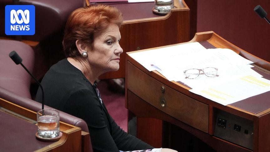 Disillusioned voters drive One Nation surge as most Australians feel ignored by politicians