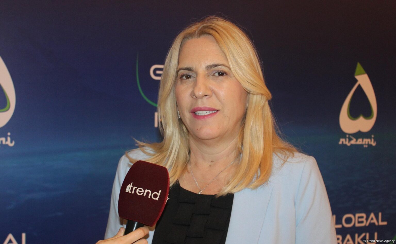 Member of the Presidency of Bosnia and Herzegovina sends letter to President Ilham Aliyev