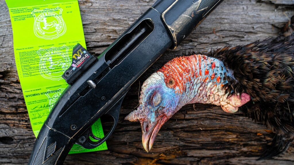 The Best Turkey Shotguns of All Time