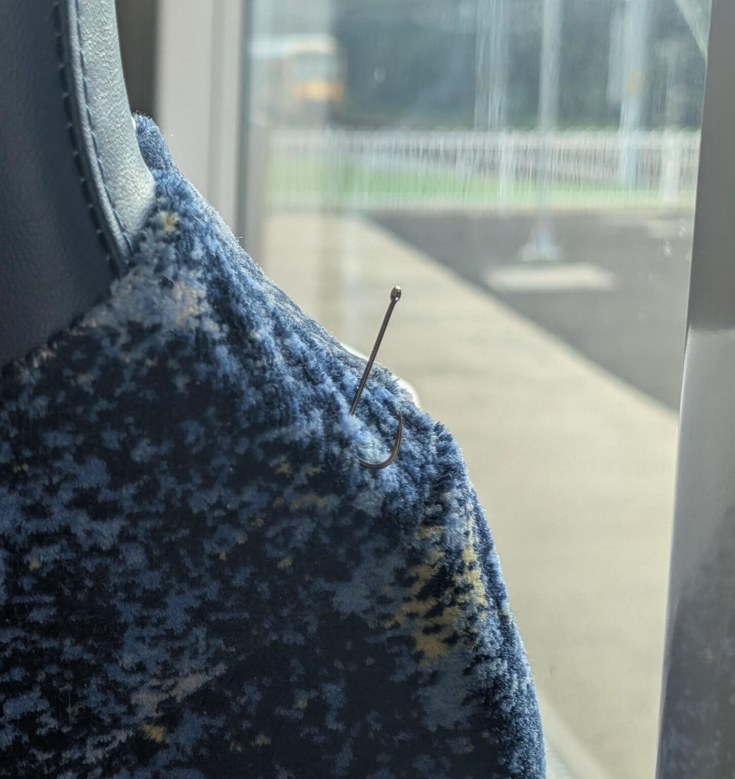 Anyone lose a fish hook?