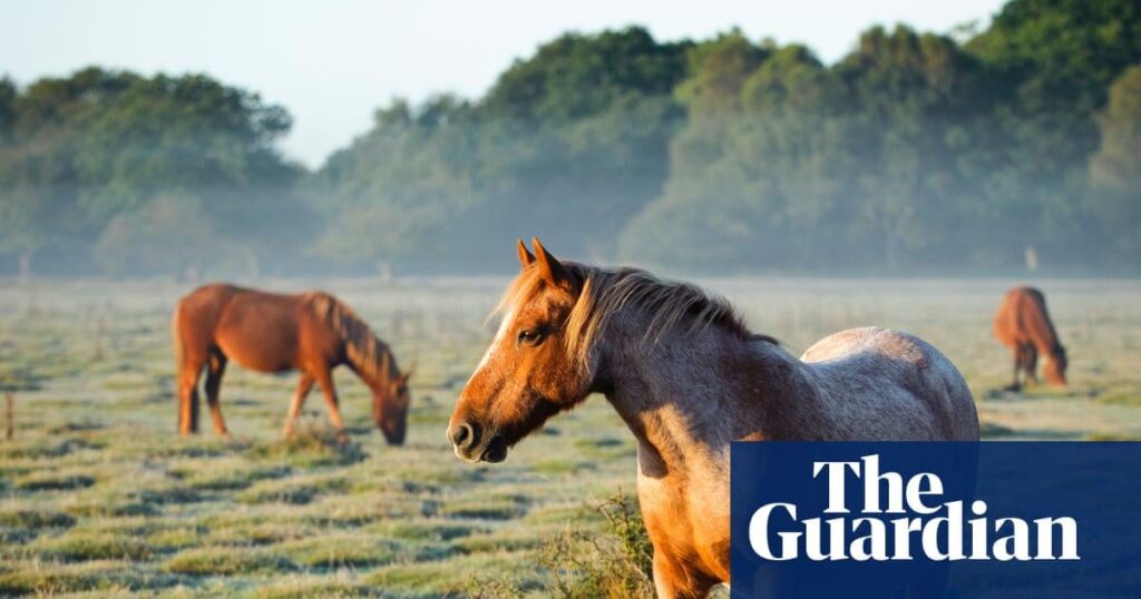 Is the bill to ban horse meat likely to pass?