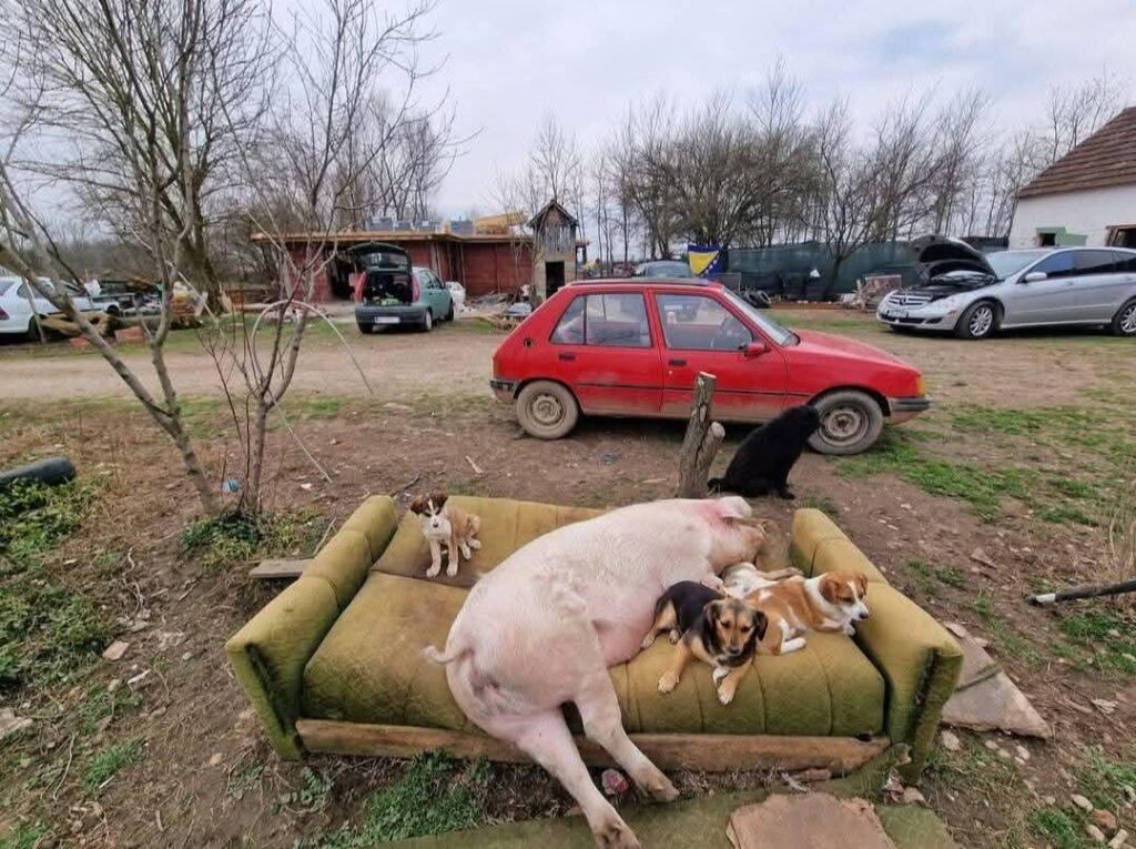 Where is this place?