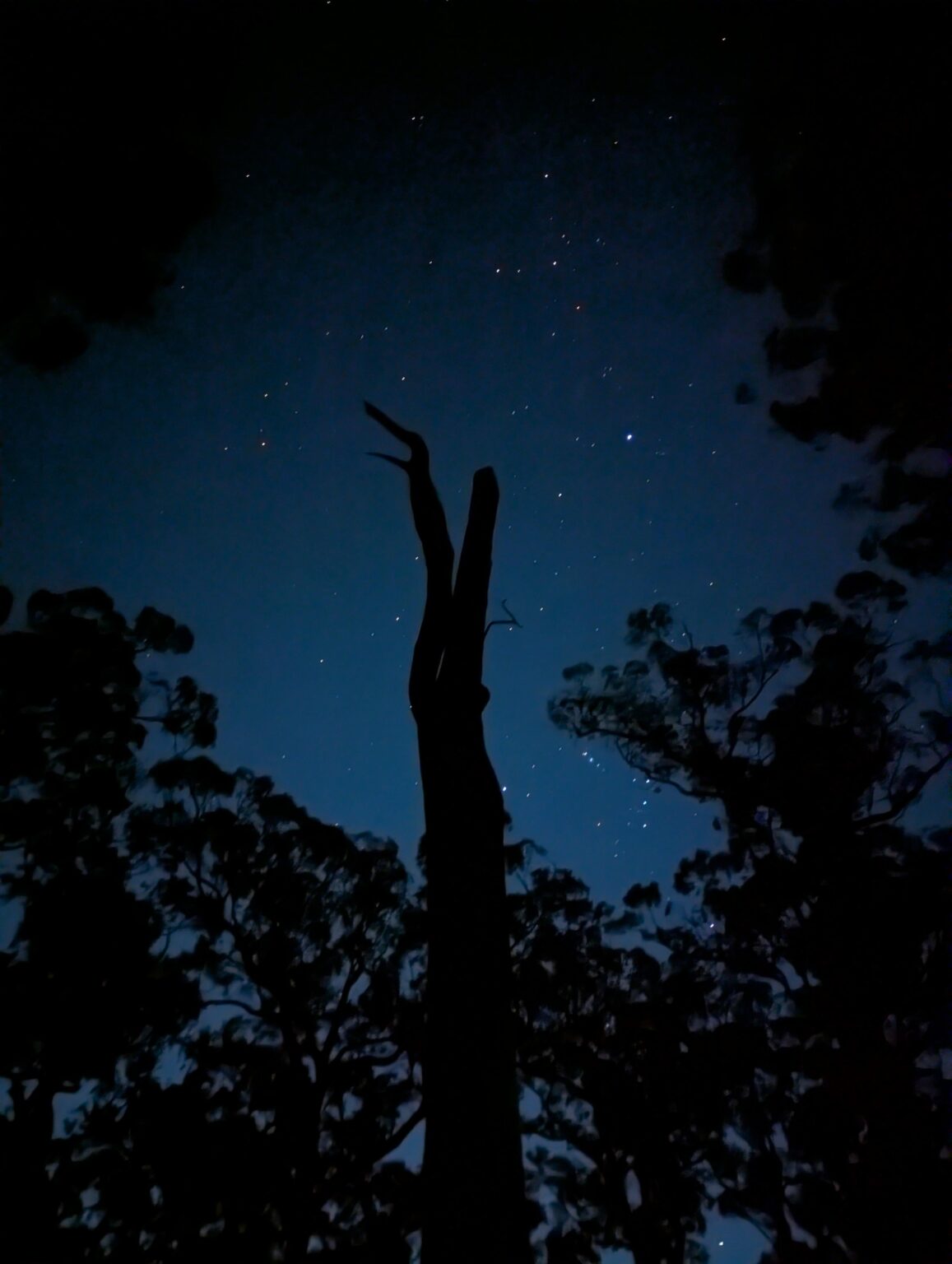 Caught this instead of the aurora in late January