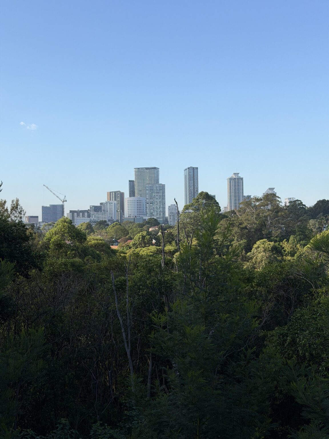Somewhere in Sydney
