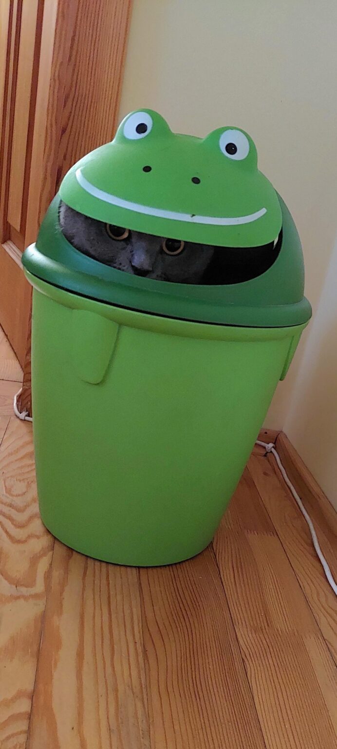 What better pet photos do you have?